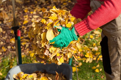 Waste removal services in Bayswater