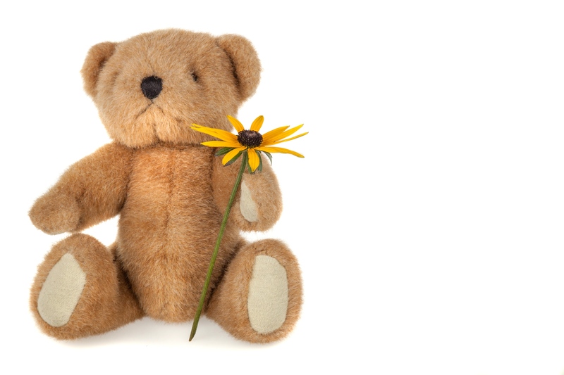 Compassionate Hoarder Clean Up and Clutter Removal for New Beginnings